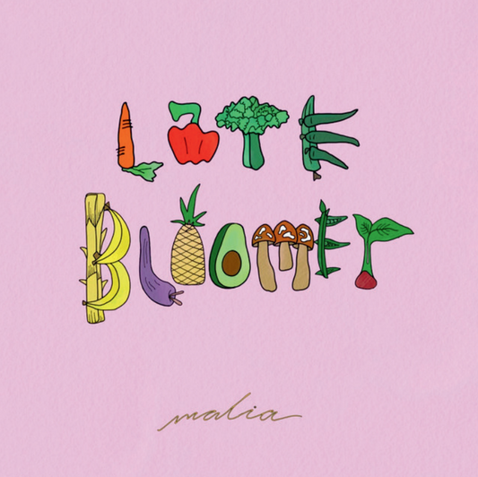 Late Bloomer CD